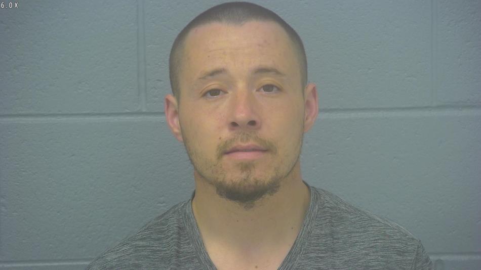 Arrest photo of DYLAN DUNN