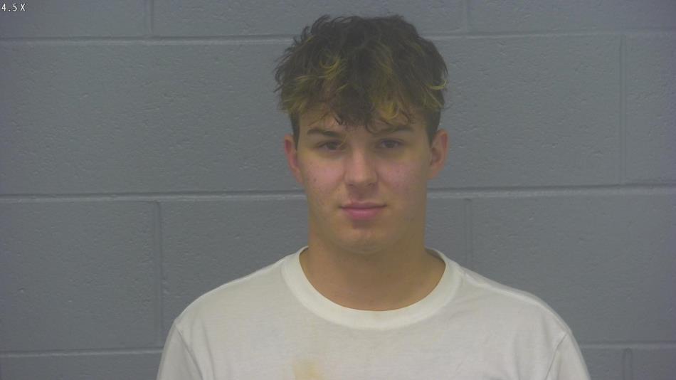 Arrest photo of DYLAN SCHANK