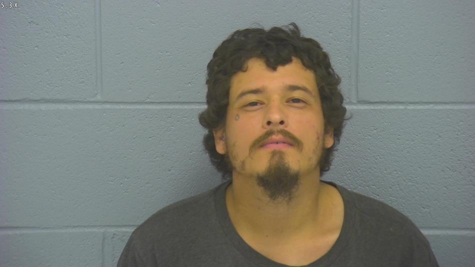 Arrest photo of DYLAN CHAMBERLAIN