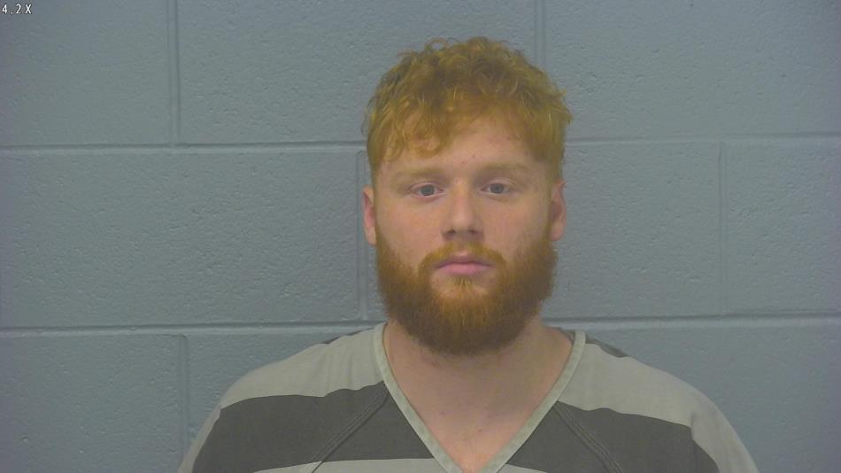 Arrest photo of DYLAN WALKER