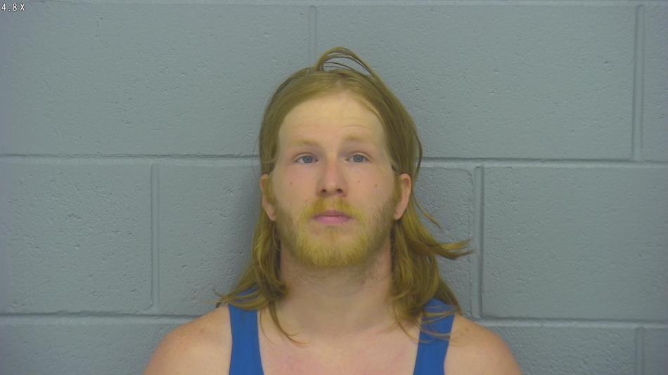 Arrest photo of DYLAN ALSPAUGH