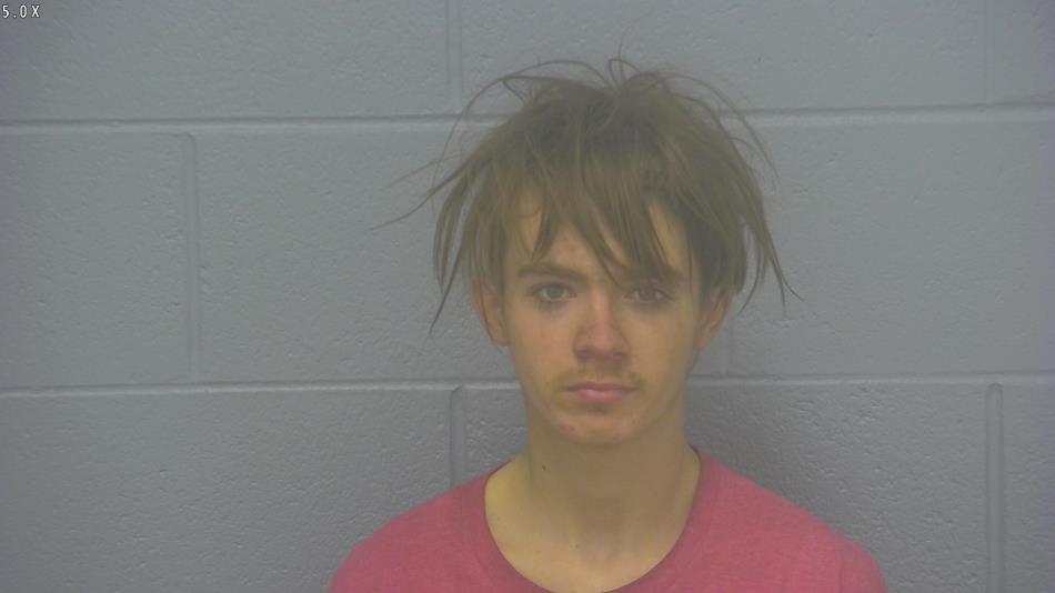 Arrest photo of DYLAN PRITCHARD