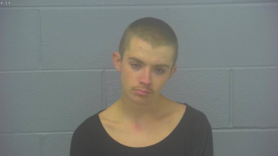 Arrest Photo of DYLAN PRITCHARD, arrested on 3/31/2025