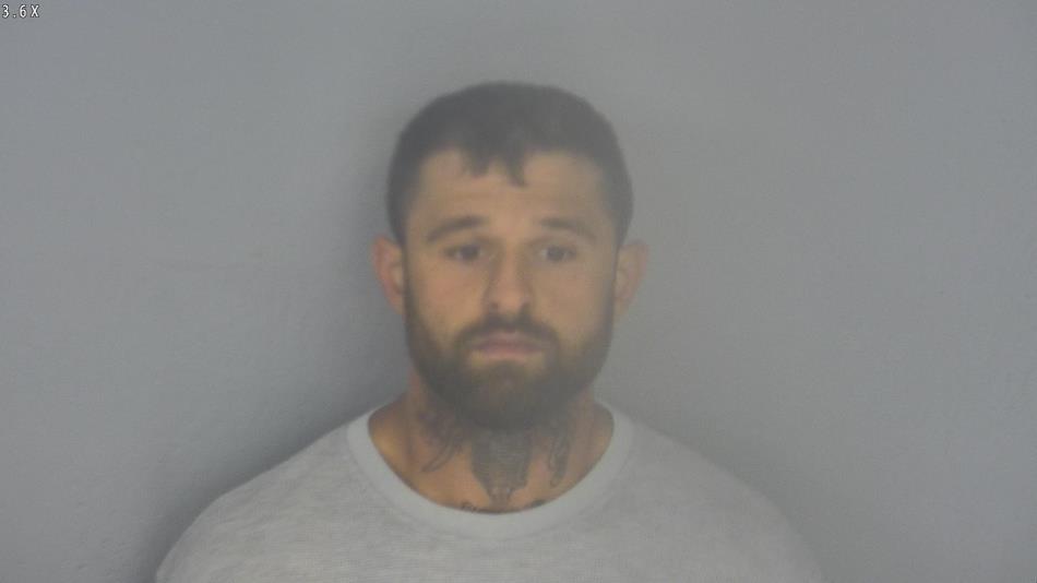 Arrest photo of DYLAN ABERNATHY