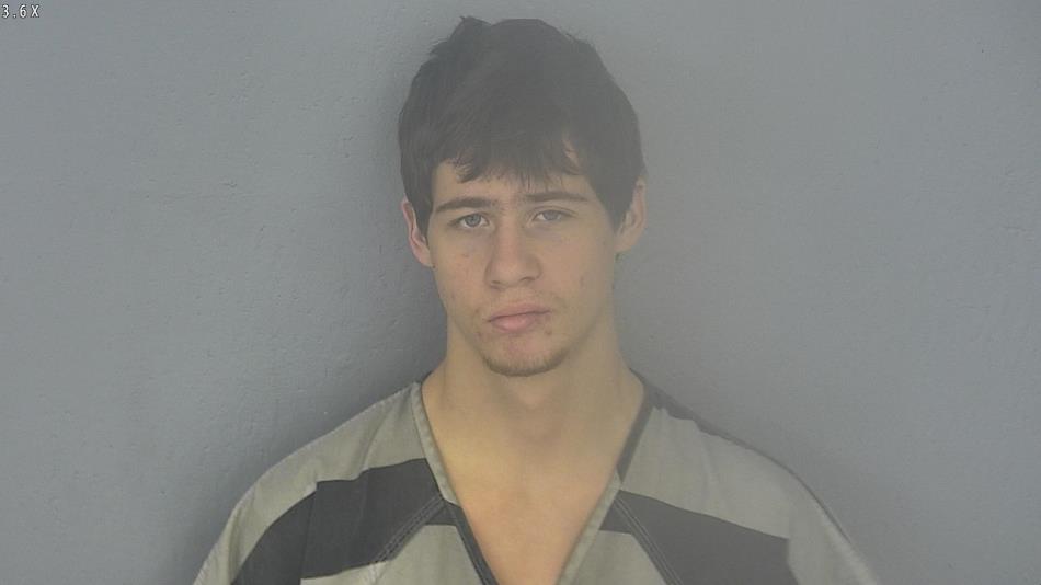 Arrest photo of DYLAN CAUDILL