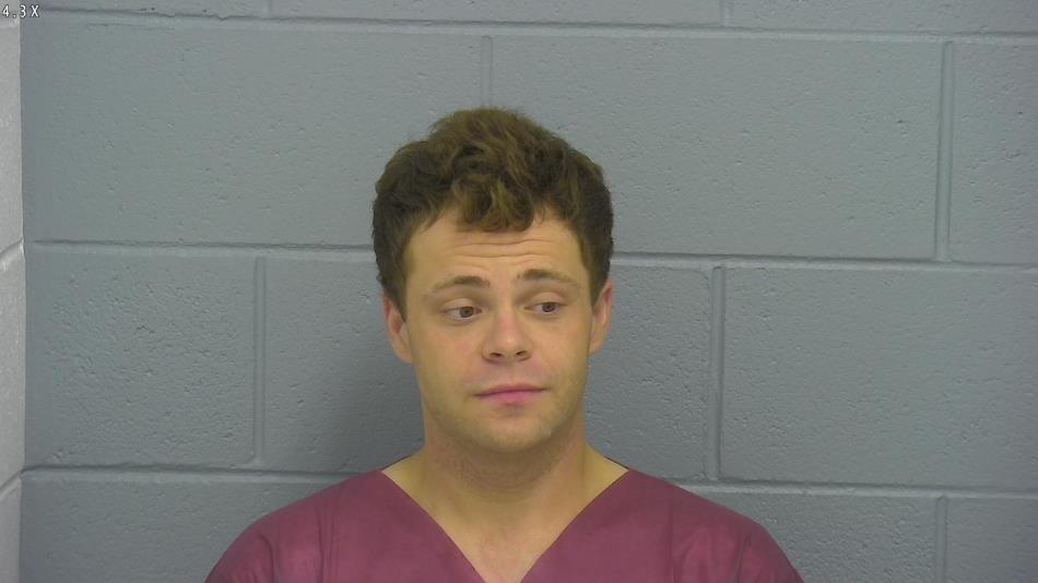 Arrest photo of DYLAN HAYES