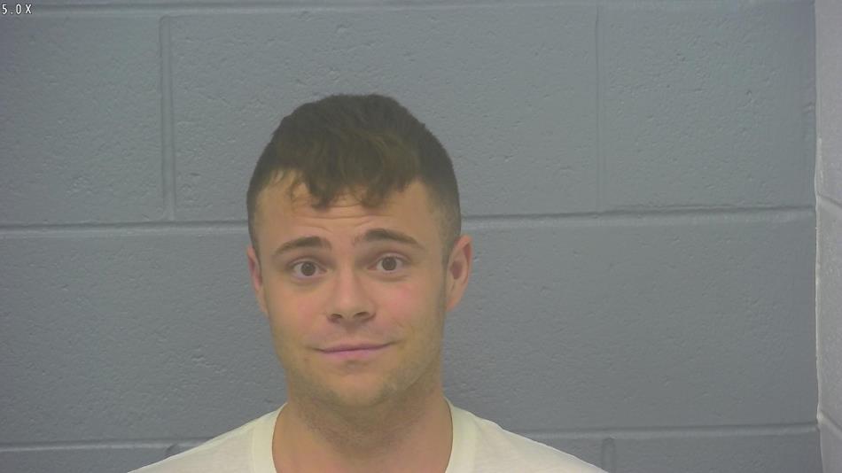 Arrest photo of DYLAN HAYES