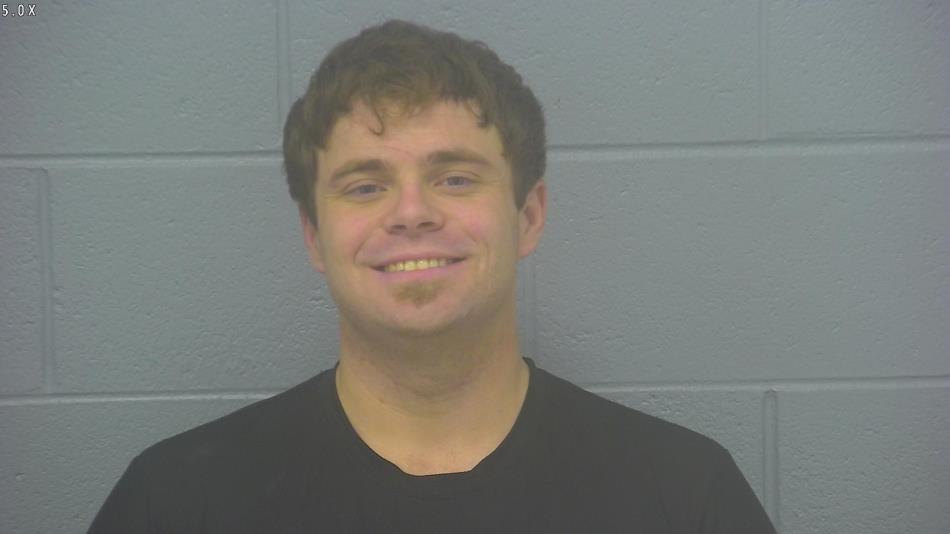 Arrest photo of DYLAN HAYES