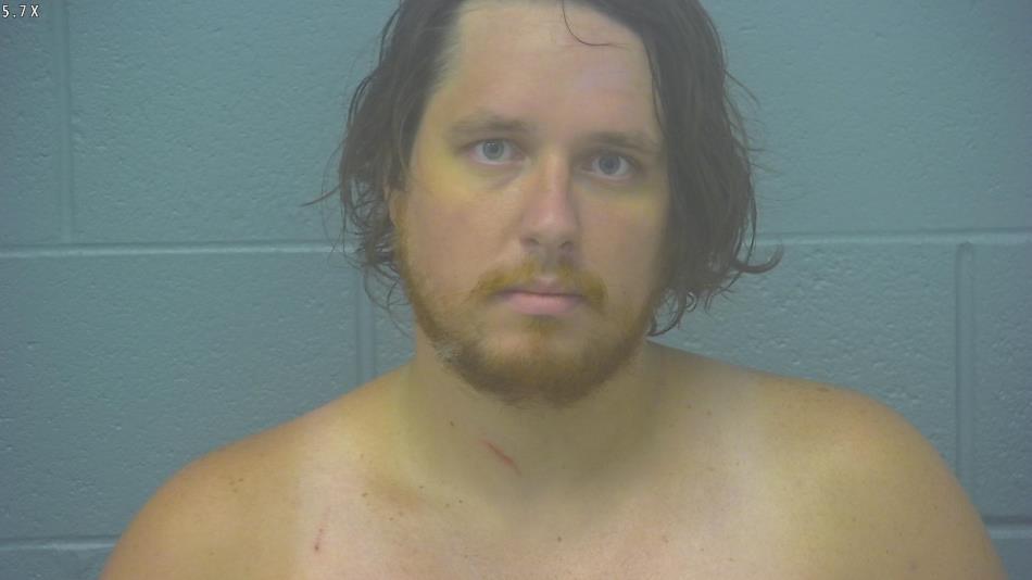 Arrest photo of DYLAN FULLER