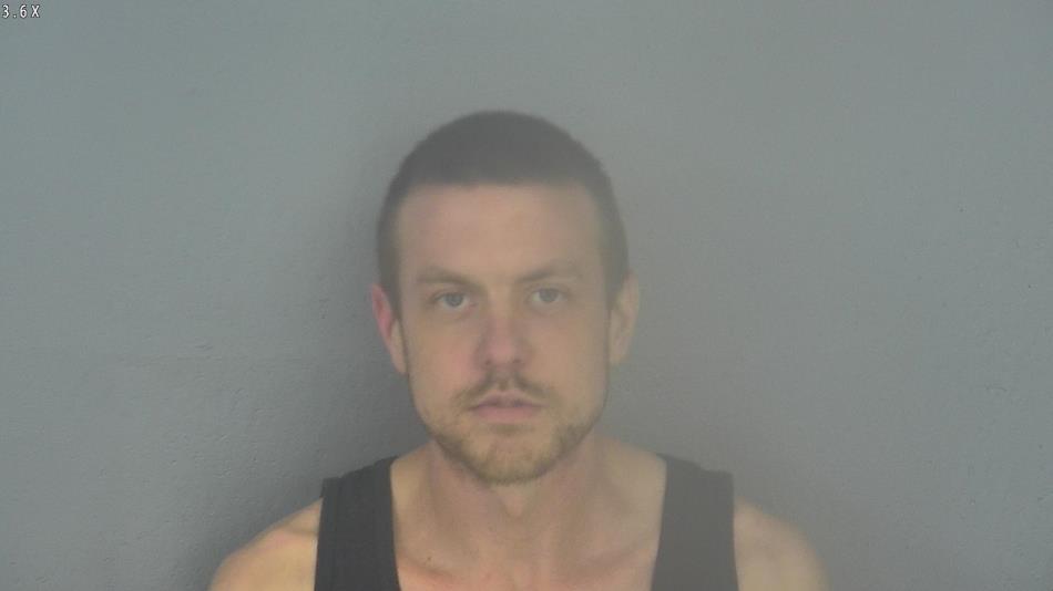 Arrest photo of DYLAN WALDEN