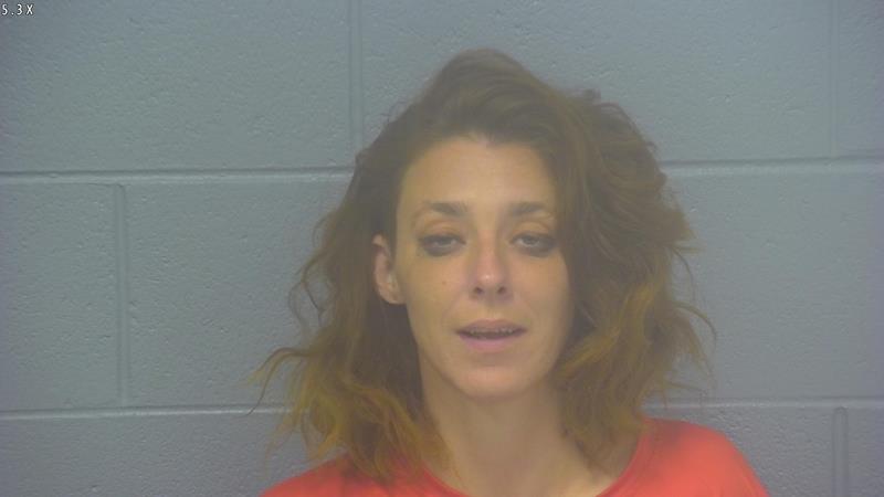 Arrest Photo of ELAINA HOLCOMB, arrested on 10/9/2025