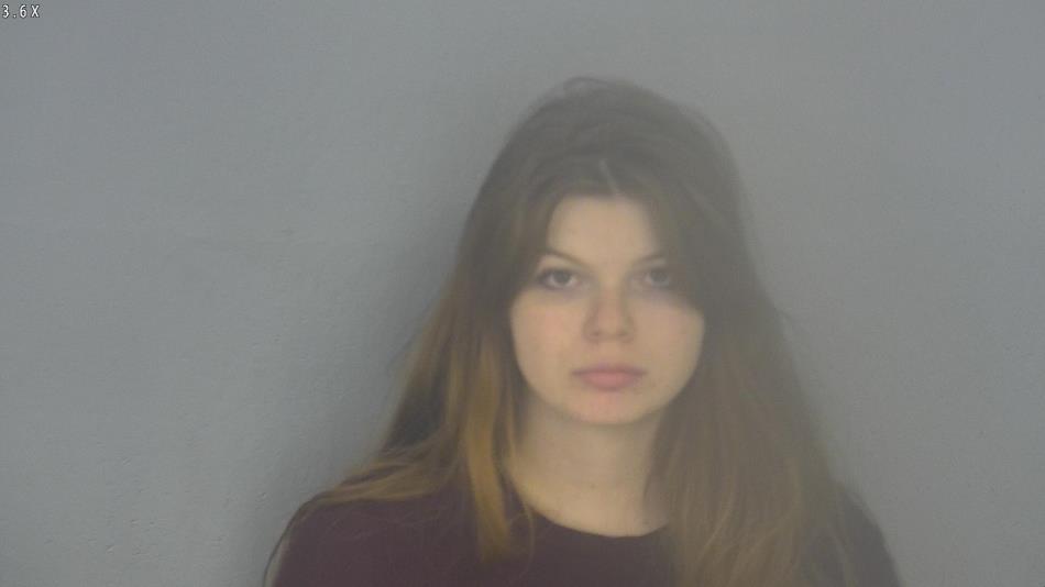 Arrest photo of ELAYNA HARRINGTON