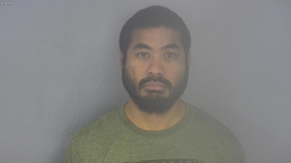 Arrest photo of ELIO ANDRIKE