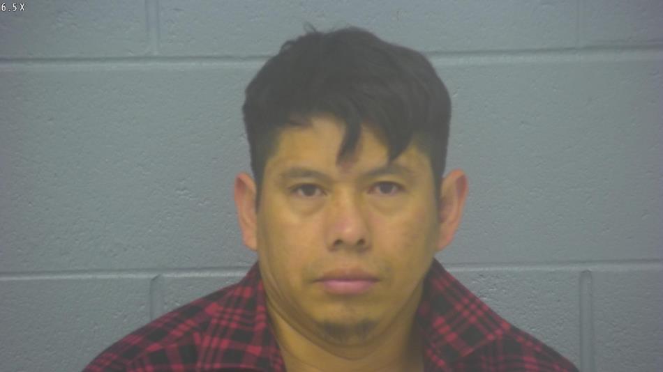 Arrest photo of ELIS HERNANDEZ