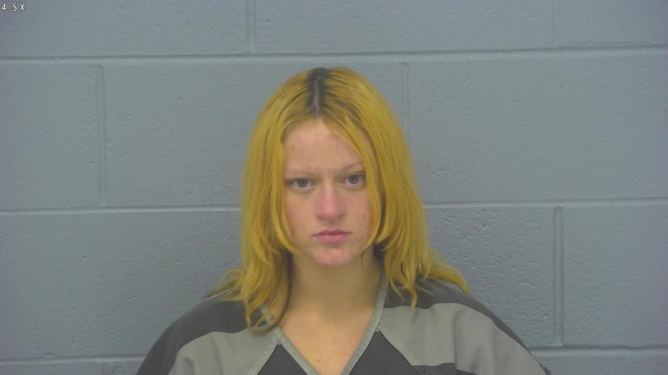 Arrest photo of ELIZABETH HUDSON