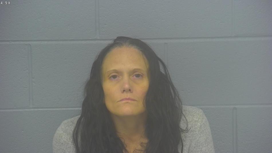 Arrest photo of ELIZABETH ROGOWSKI