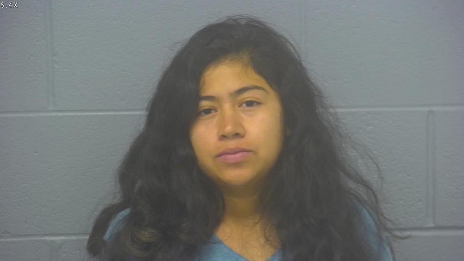 Arrest photo of ELIZABETH FRANCISCO-HERNANDEZ