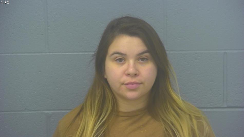 Arrest photo of ELIZABETH ROMERO