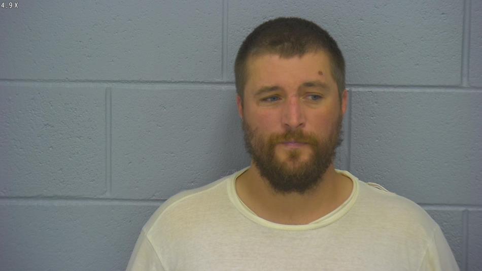 Arrest photo of ELLIS BROWN