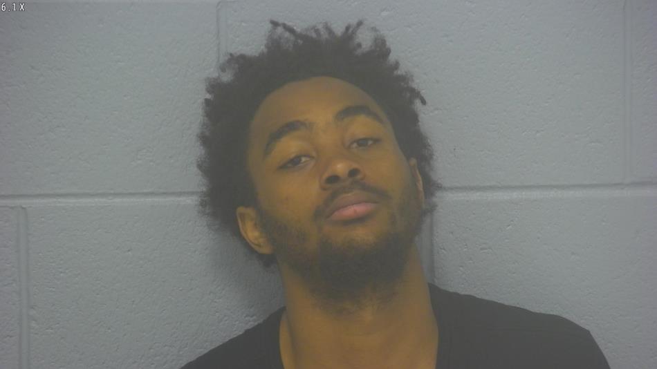 Arrest photo of EMIL JOHNSON