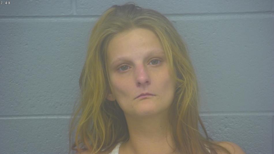 Arrest Photo of EMILY STREET, arrested on 11/15/2024