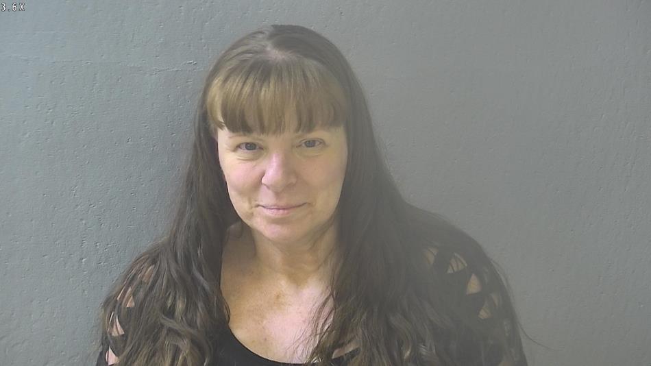 Arrest photo of EMILY LAIRD