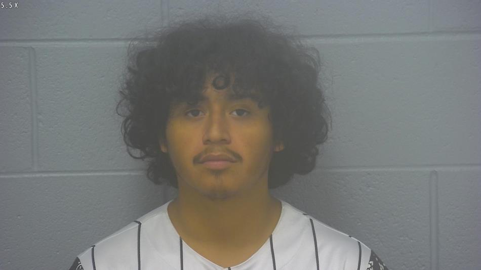 Arrest Photo of ENEMIAS LEMUS-CIFUENTES, arrested on 8/25/2025