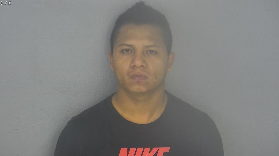 Arrest photo of ENRIQUE MANZANAREZ