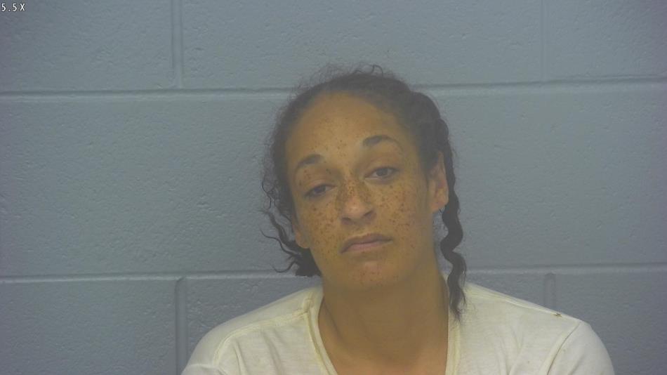 Arrest photo of ERICA PASLEY