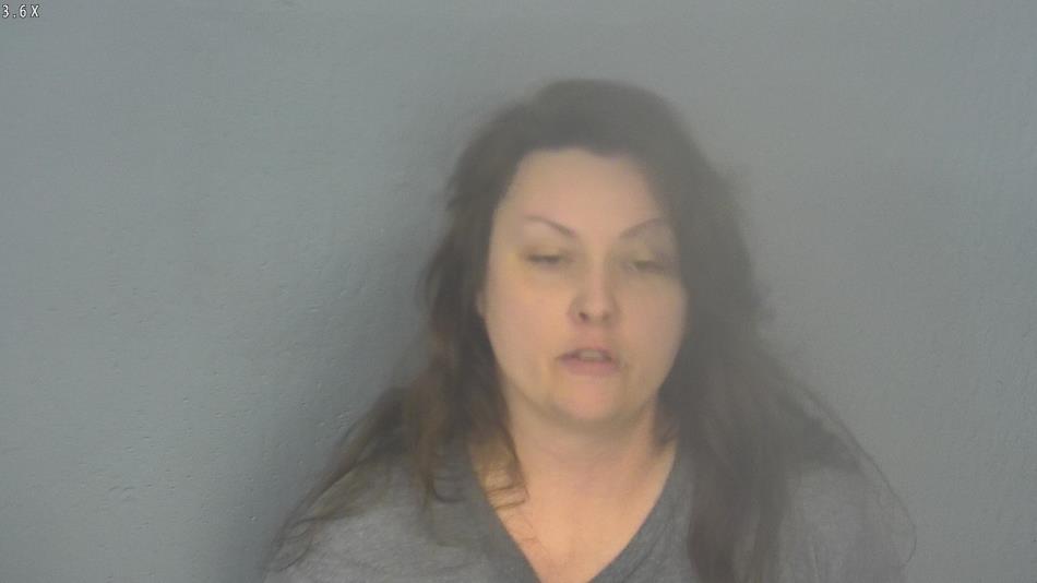 Arrest photo of ERICA CARR