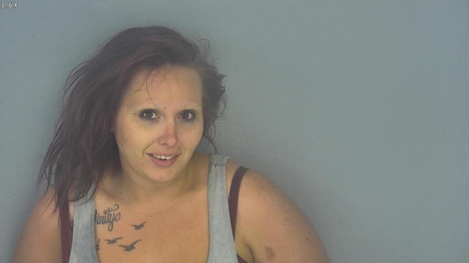 Arrest photo of ERICA GOODWIN