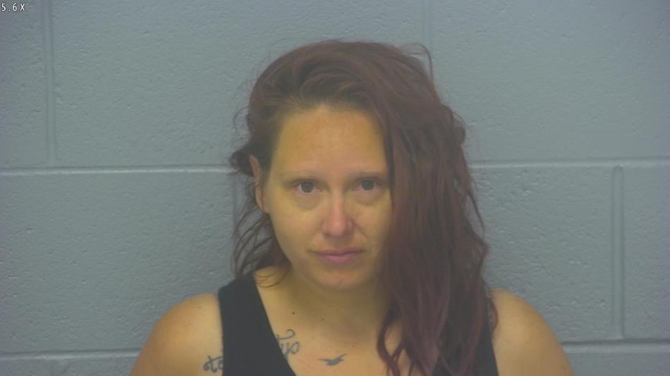 Arrest photo of ERICA GOODWIN