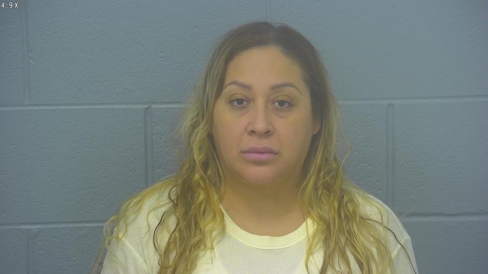 Arrest photo of ERIKA HERNANDEZ