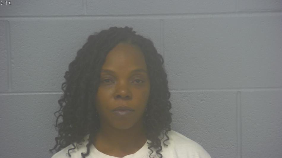 Arrest photo of ERIKA MATHIES