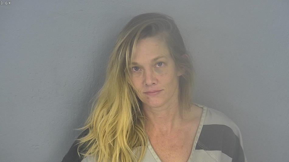Arrest photo of ERIN GRAF