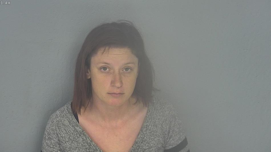 Arrest photo of ERIN KOEHN