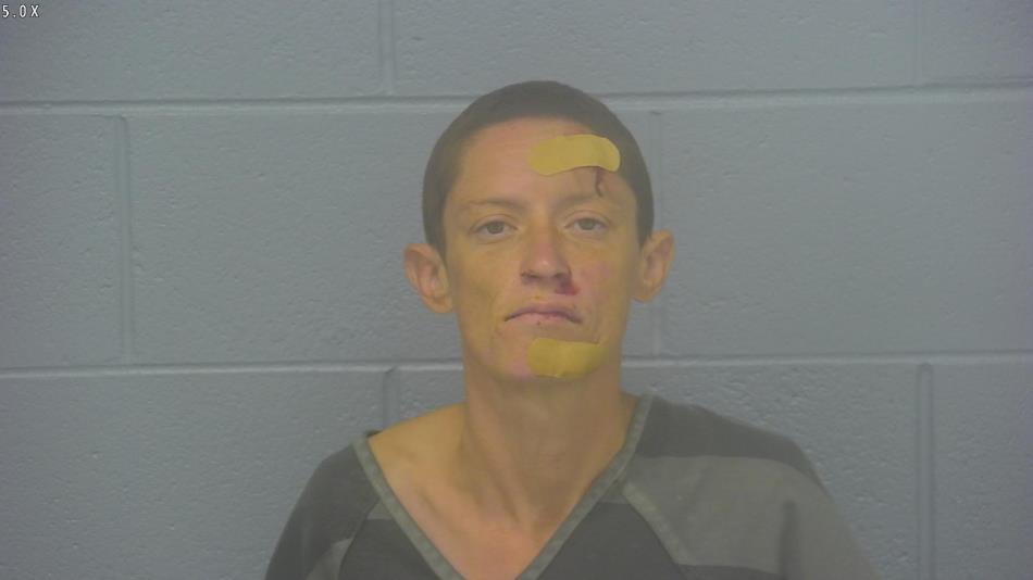 Arrest photo of ERIN KOEHN