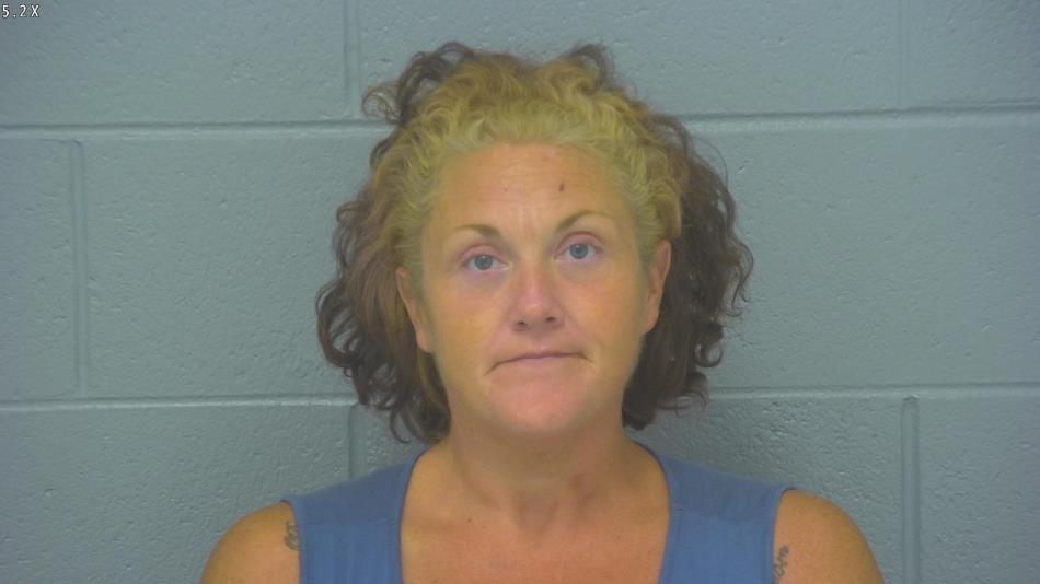 Arrest photo of ERIN HOUSTON