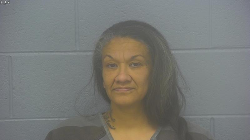 Arrest photo of ERNESTINA MARTINEZ