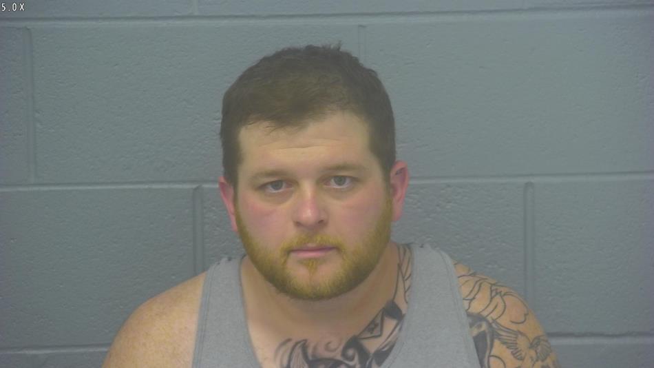 Arrest photo of ETHAN FOELSCH