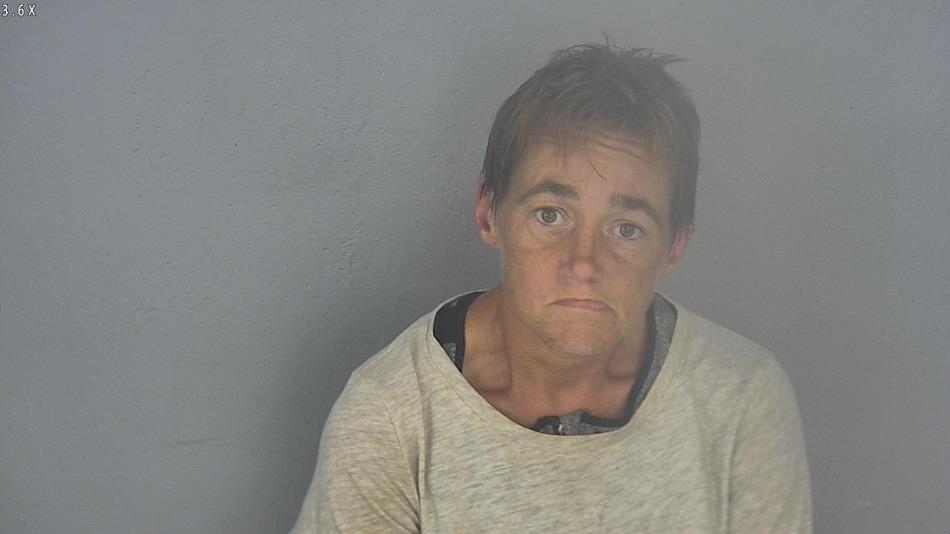 Arrest photo of EVELYN BURDICK