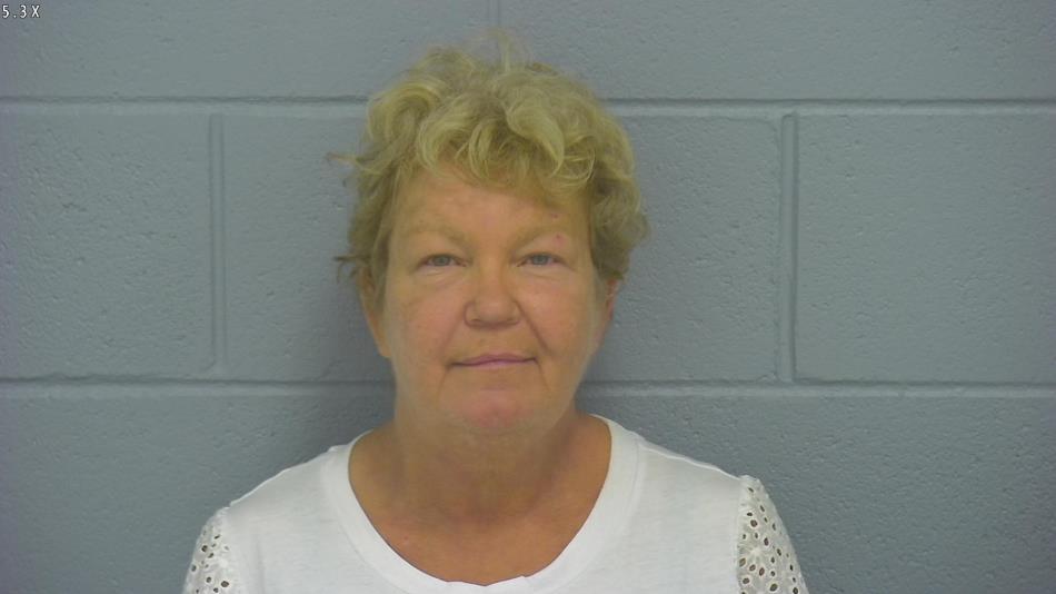 Arrest photo of FAWN DONNER