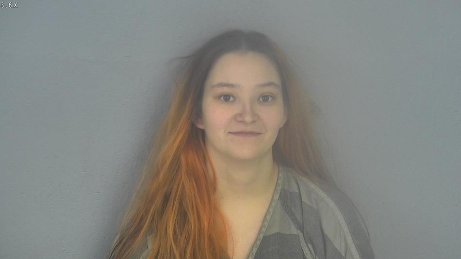 Arrest photo of FAYME HOLTER