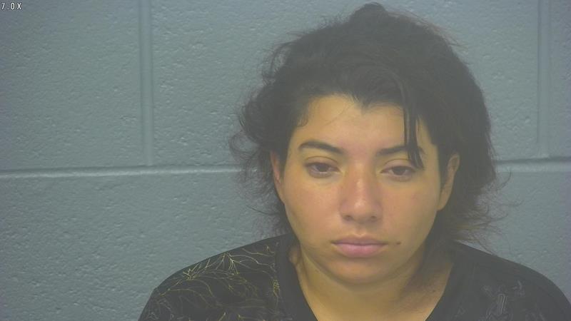 Arrest Photo of FELANY LEMUS-LOPEZ, arrested on 9/17/2025