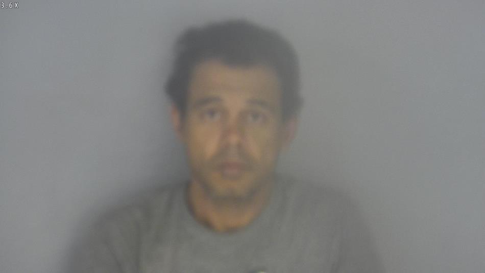Arrest photo of FERNANDO TEO