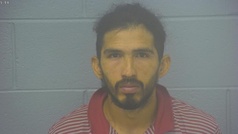 Arrest photo of FRANCISCO HERRERA VARGAS