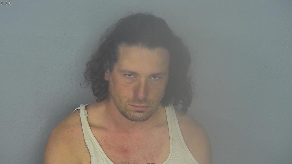 Arrest photo of FRANCISCO ROMAN