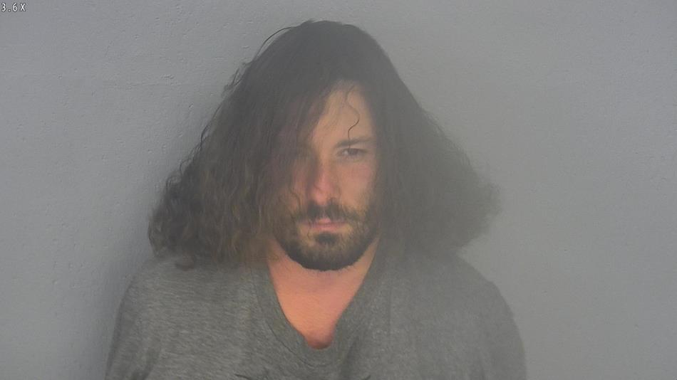 Arrest photo of FRANCISCO ROMAN