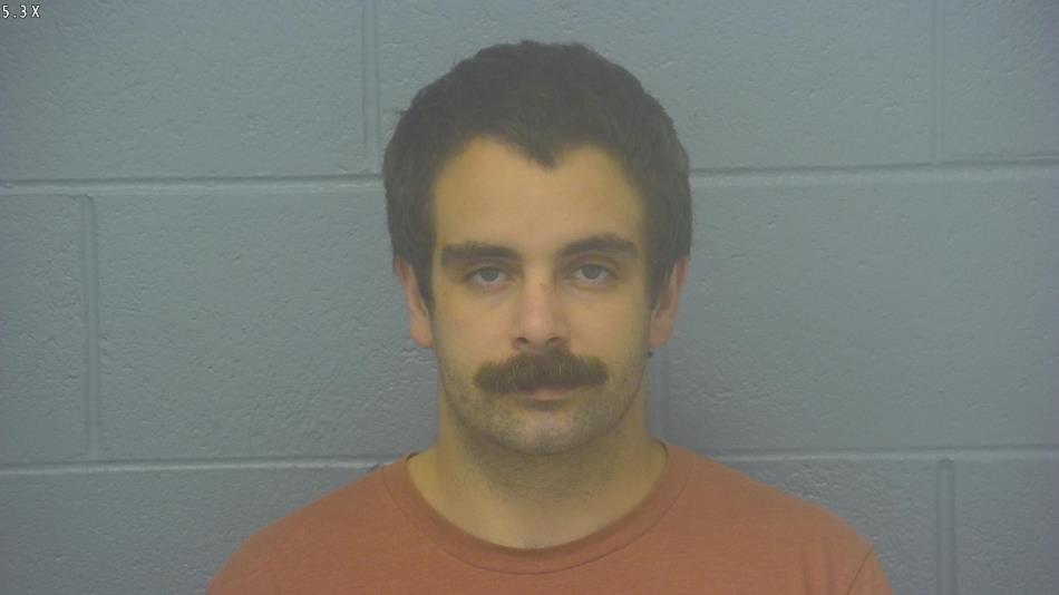 Arrest photo of GABRIEL MCCARTHY