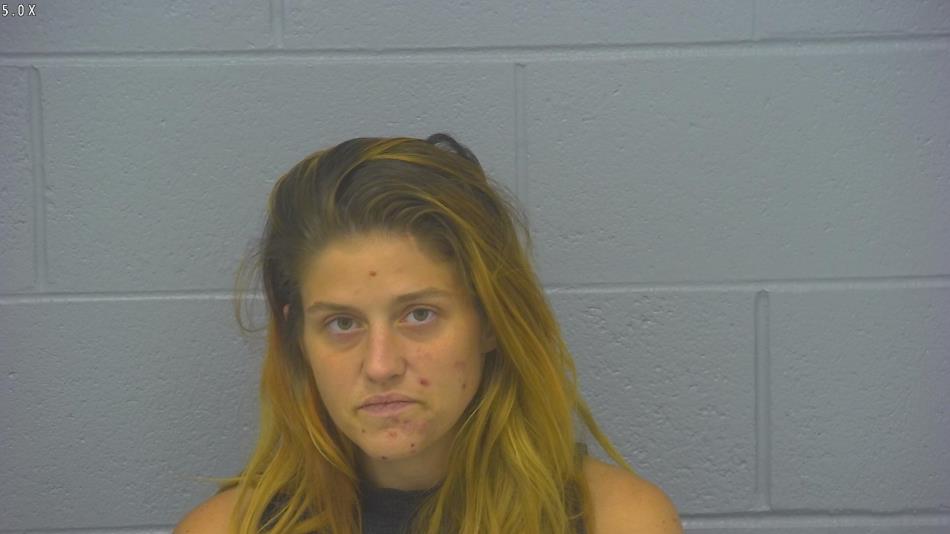 Arrest photo of GABRIELLE HENSON